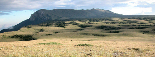 Карстовое плато в Крыму